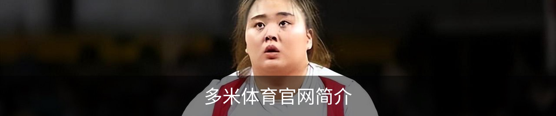 多米体育官网简介